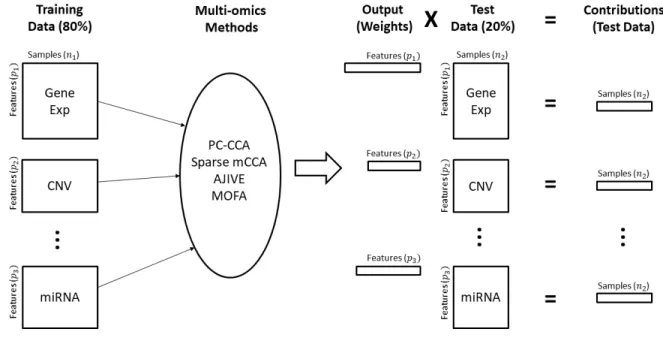 Figure 2.3: Pipeline for cross-validation analysis. Training Data: Dataset is subset to 80% of the original data and will be used to train the model