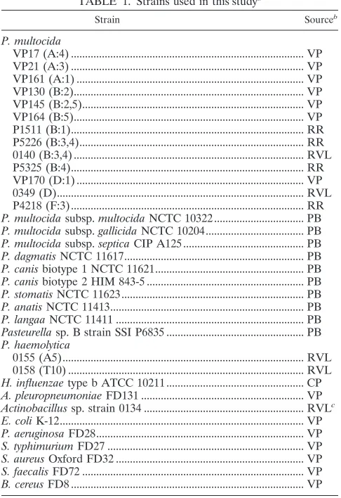 TABLE 1. Strains used in this studya