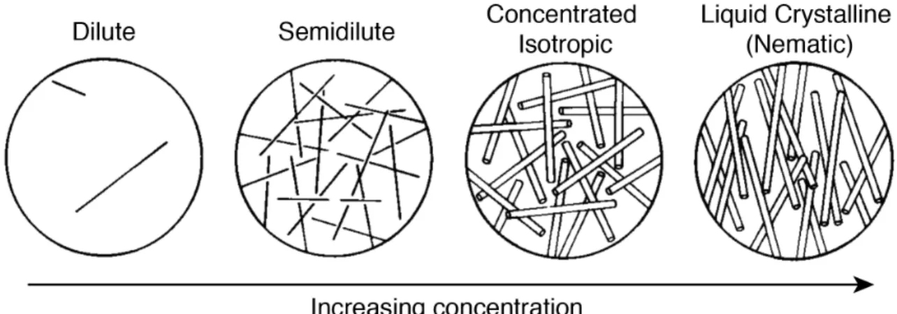 Figure  1.3.  Concentration  regimes  of  rodlike  particles  in  solution.  The  dilute,  semidilute,  concentrated  isotropic,  and  liquid  crystalline  phases  are  accessed  by  increasing  the  rod  number  density  in  solution