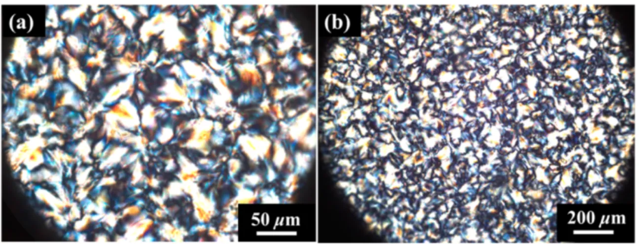 Figure  1.10.  Optical  micrographs  under  crossed  polarizers  of  a  neat  PBDT  solid-state  film  drop  casted  from a 6 wt.% PBDT solution at room temperature, exhibiting birefringent domains at (a) 40x and (b) 10x  magnification
