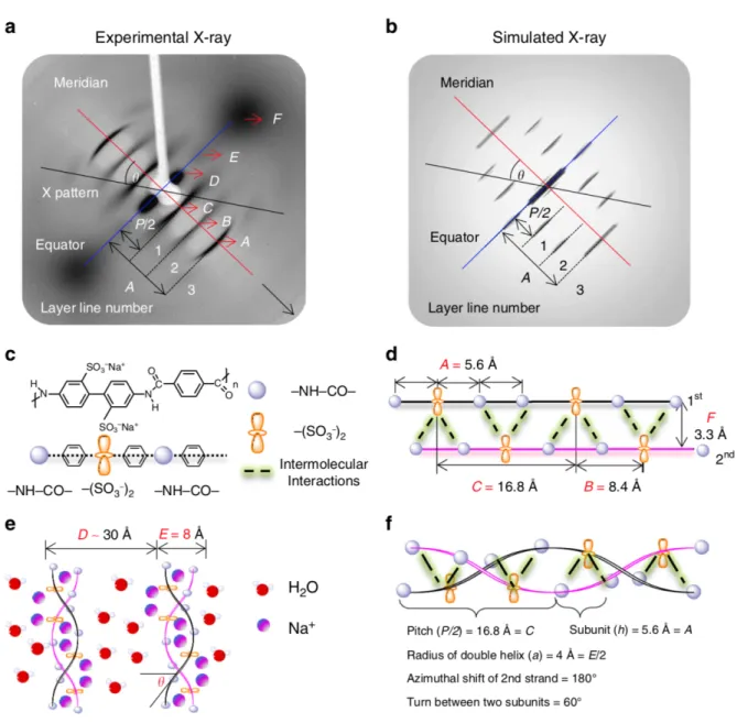 Figure  1.12. X-ray scattering data and analysis leading to the double helical structural model of PBDT  self-assembly