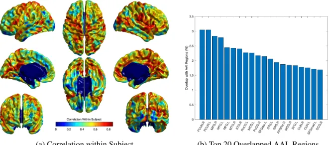 Figure 3.9: (a) The correlation of local EA-CSF within-subject across age; high correlation in the frontal, parietal, and temporal lobes was observed
