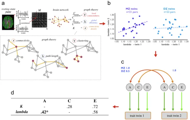 Figure 1 (a) Individual brain networks were reconstructed as the level of correlation between fMRI time-series between all gray matter voxels