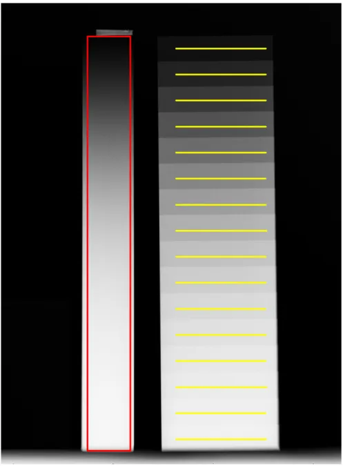 Figure 19. Region of interest selection for Al wedge (red box), and 16 regions of interest  (yellow  lines)  corresponding  with  each  step  of  the  Al  step-wedge,  determined  from  a  radiograph taken at 60 kV, 0.06 seconds and 15 mA