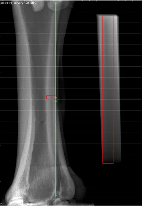 Figure 24. Selection of region (left) positioned at the mid