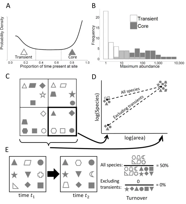 Figure 2.1. (A) Bimodal distribution of temporal occupancy for North American birds from  Coyle et al