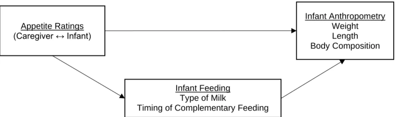 Figure 6.1 Conceptual model  
