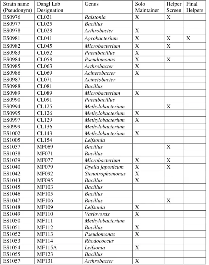 Table 3.1. Natural Rhizosphere Isolate Strains  Strain name  (Pseudonym)  Dangl Lab  Designation  Genus  Solo  Maintainer  Helper  Screen  Final  Helpers  ES0976  CL021  Ralstonia  X  X     ES0977  CL025  Bacillus           ES0978  CL028  Arthrobacter  X  