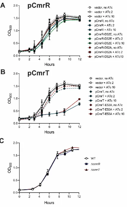 Figure 2.5. Growth of mutant and over-expression strains in vitro. C. difficile strains  were grown in BHIS broth with ATc at 0, 2 or 10 ng/mL for induction