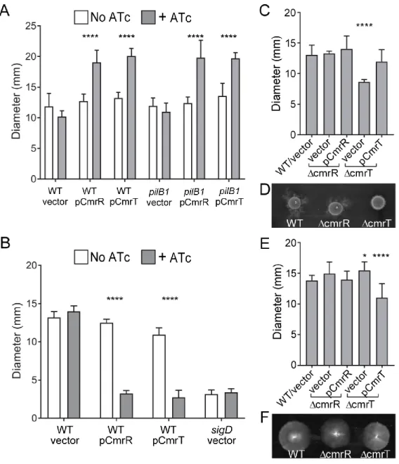 Figure 2.7. CmrR and CmrT inversely regulate surface and swimming motility. C. 