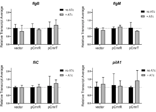 Figure 2.9. CmrR and CmrT do not regulate flagellum or TFP gene expression. C. 