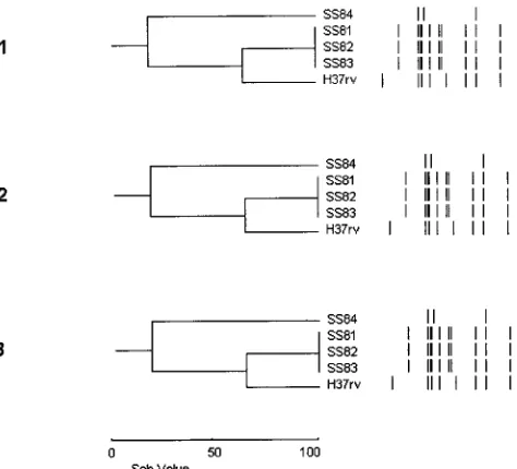 FIG. 1. Results of three different experiments (experiments 1, 2, and 3)represented by three dendrograms associated with the RLFP proﬁles of ﬁve