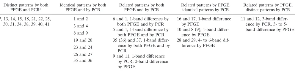 TABLE 2. Comparison of clonal relationships among 41 isolates of E. faecalis by rep-PCR with the BOXA2R primer and by PFGE