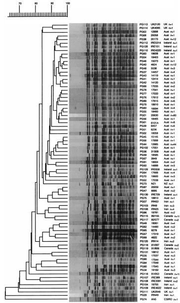 FIG. 4. Dendrogram drawn by the GelCompar program showing the relationship of 77 representative ﬁngerprints (PG types) for 273 isolates of M