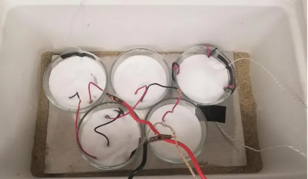 Figure 7. The cooler consisting of all baths filled with erythritol. 
