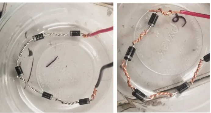 Figure 2: Bath 1 before adding erythritol.  Figure 3. Bath 2 before adding erythritol 