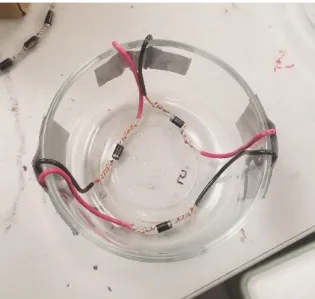 Figure 6. Bath 5 before adding erythritol. 