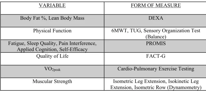 Table 1: Variables and Forms of Measure 