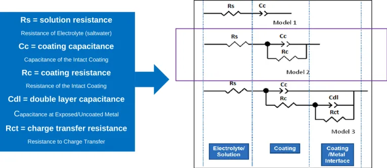Figure 16. Three electrode setup for EIS measurements and depiction of Randles cell circuit