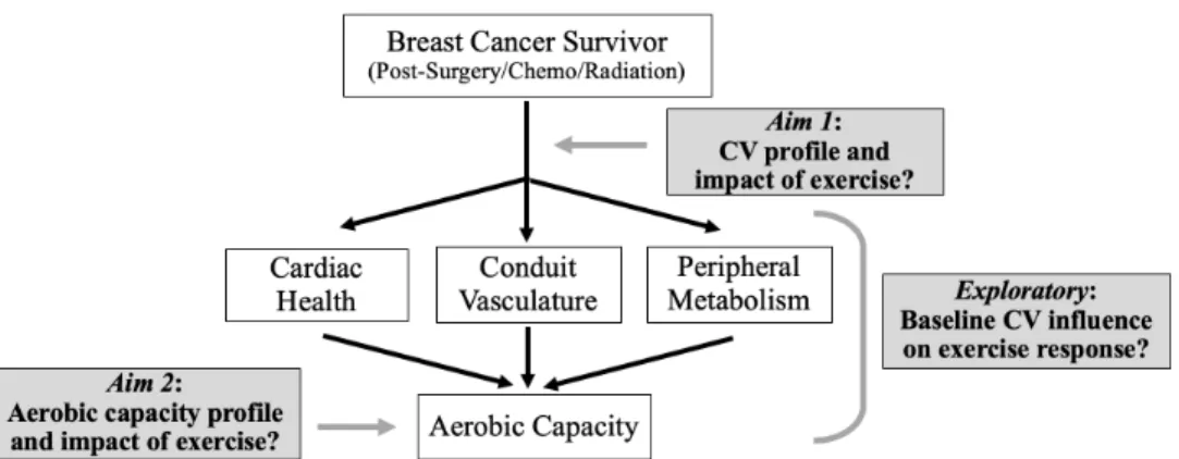 Figure 1. Conceptual model leading to research aims.  