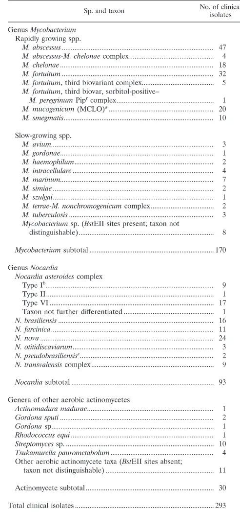TABLE 1. Clinical isolates identiﬁed by PRA in this study