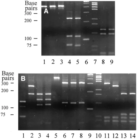 TABLE 2. Identiﬁcation of clinical isolates that exhibited patternsthat did not match those in the current PRA database