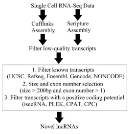 Figure 1: Overview of the novel lncRNA detection pipeline.