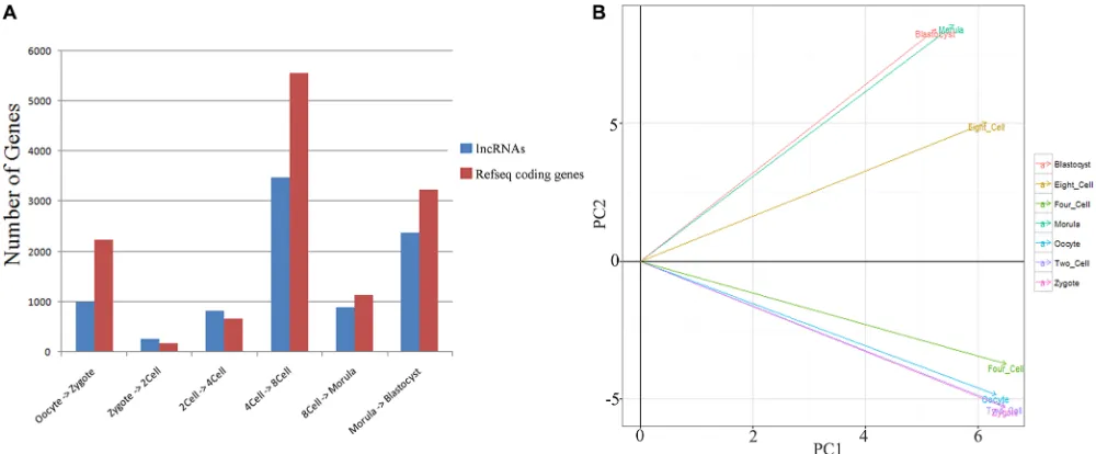 Figure 2: Global gene expression patterns during the seven consecutive stages of human pre-implantation development