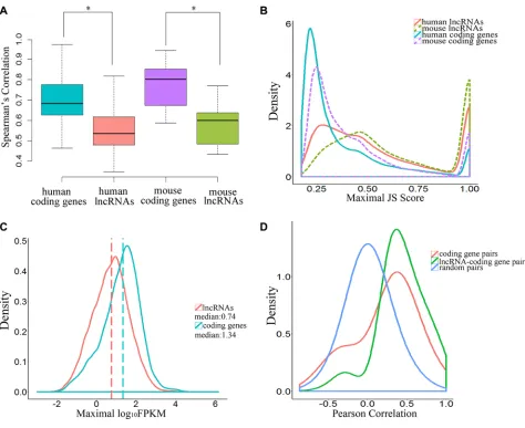 Figure 3: Temporal-specific expression of lncRNAs. (A) Boxplot indicating the distribution of Spearman’s rank correlation coefficients between each embryonic sample pair derived from lncRNAs and coding genes (* means P-value < 0.05)