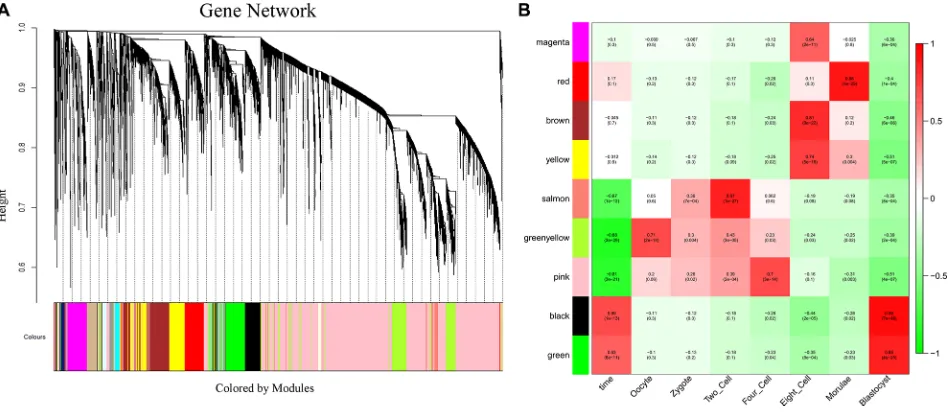 Figure 4: Network analysis of human pre-implantation development. (A) Hierarchical cluster tree showing co-expression modules identified using WGCNA