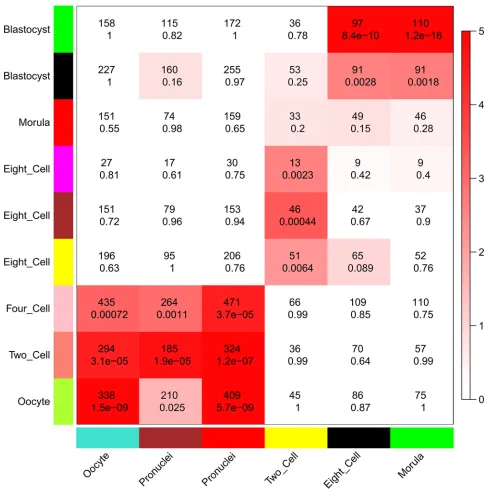 Figure 7: Comparison of modules in human and mouse early embryonic development. Heatmap showing the significance of gene overlaps between independently constructed human and mouse modules