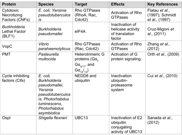 Table 2.1. Bacterial virulence factors that use deamidation to modify host proteins. 