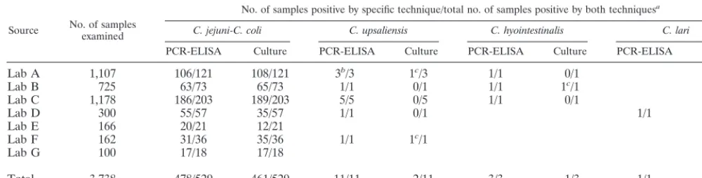 TABLE 1. Detection of Campylobacter species