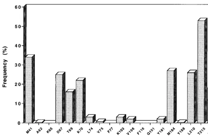 TABLE 1. Nature and frequency of amino acid substitutions at resistance-associated codons in the RT gene: cross-sectionalanalysis of 287 sequences