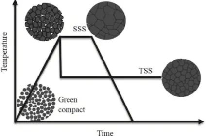 Figure 7: The isothermal and two-step sintering profiles, with respective microstructural evolution from densification and grain growth [26].