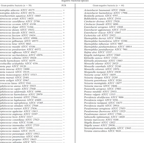 TABLE 2. Speciﬁcity test performed with the Enterococcus-speciﬁc 40-cycle PCR assay and DNA from a variety of gram-positive and gram-negative bacterial species