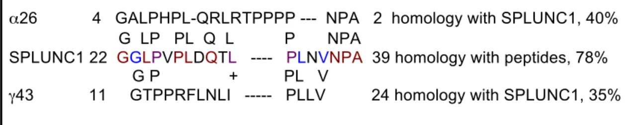 Figure 1:  Alignment of SPLUNC1 to inhibitory peptides, α26 and γ43, cleaved  from ENaC’s extracellular loops
