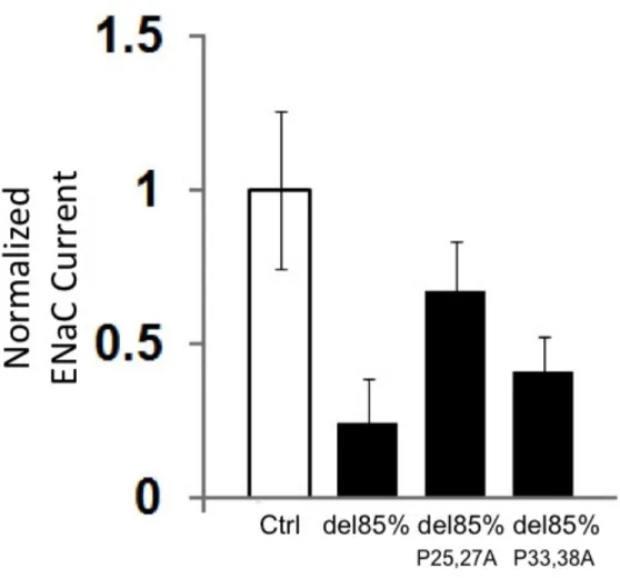 Figure 5:  Proline point mutations within SPLUNC1’s Active Site reduce its 