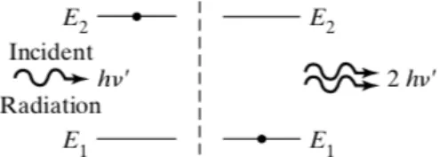 Figure 3: Stimulated Emission [7].