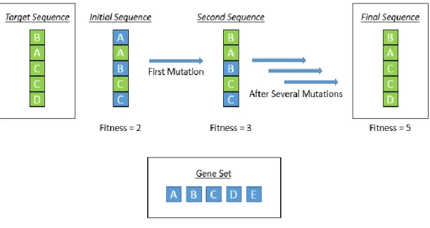 Figure 5. Schematic Representation of How a Genetic Algorithm  Sequentially  Determines  the Correct Sequence of Genes 