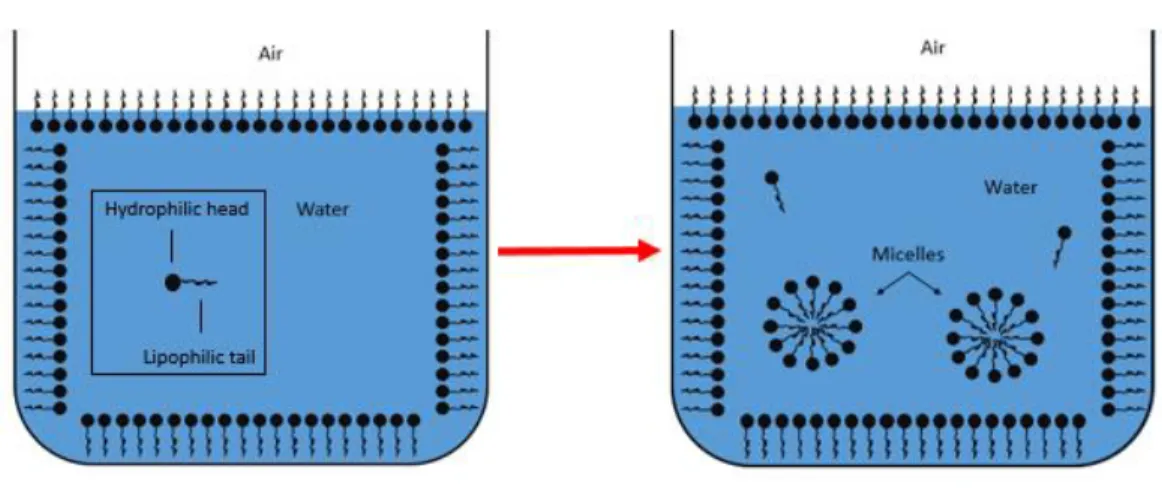 Figure 7. Surfactant in Water Just Below (Left) and Above (Right)  its CMC 