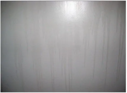 Figure 14. Example  Structure of a Polymerizable  Surfactant 