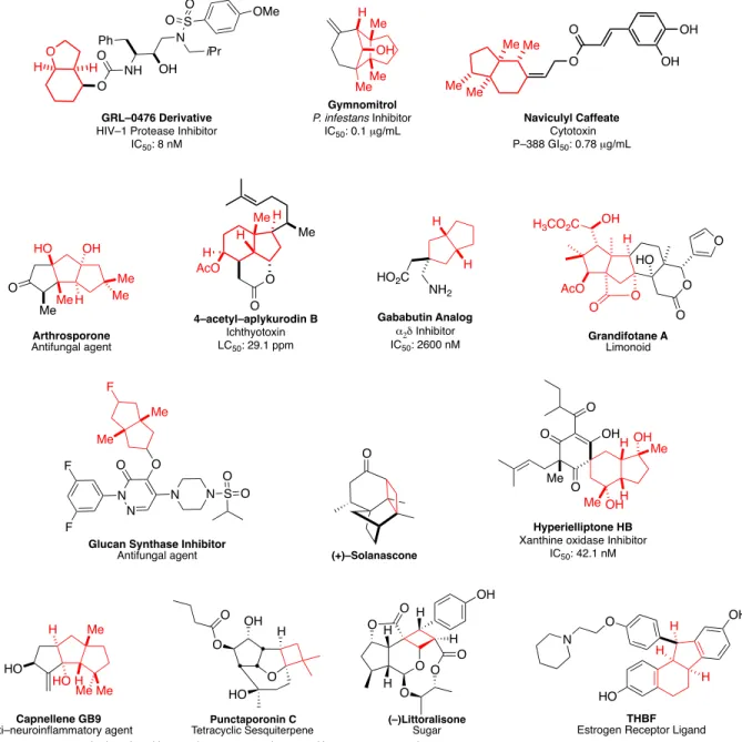 Figure 1.  Biologically–relevant carbocyclic compounds. 	  