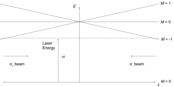 Figure 2: 1D representation of Zeeman splitting in MOT. This figure shows the gap between two states in the energy structure of an atom