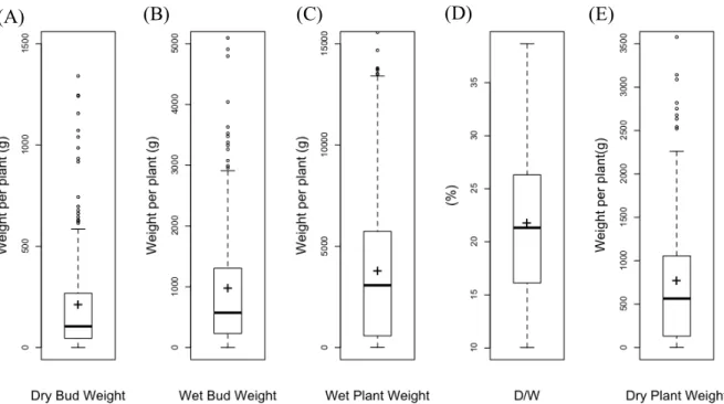 Figure 3.2 From cannabis cultivation facilities a box and whisker plot of the reported (N =  18,257) (A) dry bud weight, (B) wet bud weight, and (C) wet plant weight from the Liquor and  Cannabis Board (LCB) database maintained by the state of Washington f