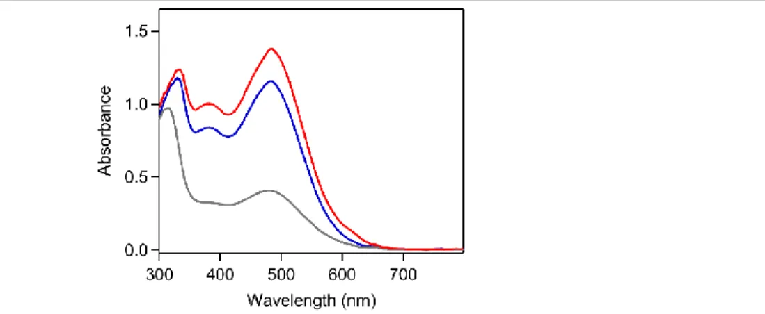 Figure 3.7 UV-vis absorbance spectrum of a solution of 4 mM [Ni(P Ph 2 N Ph 2 ) 2 ] 2+  and 0.33 mM ferrocene in  0.25  M  [NBu 4 ][PF 6 ]  acetonitrile  during  spectroelectrochemistry  experiments