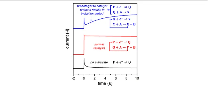 Figure 1.6 Simulated CAs of a catalyst without substrate (black trace), catalyst with substrate undergoing  simple redox catalysis (blue trace), and conversion of precatalyst to active catalyst (red trace)