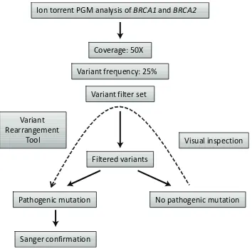 Figure 4: Strategy outline for mutation detection using Ion torrent PGM sequencing data.