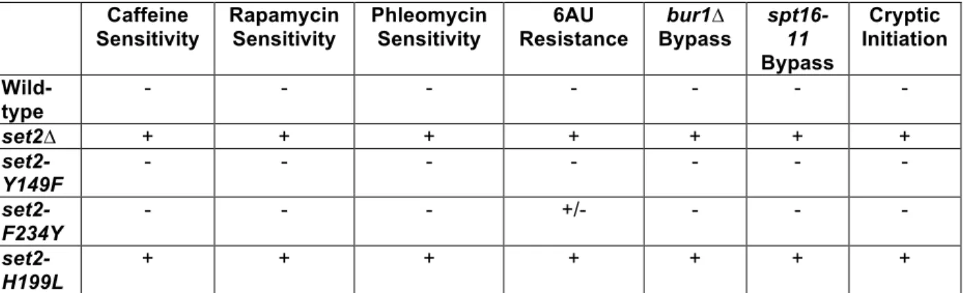 Table 2.1: Summary of set2 Mutant Phenotypes  Caffeine  Sensitivity  Rapamycin Sensitivity  Phleomycin Sensitivity  6AU  Resistance  bur1∆  Bypass   spt16-11  Bypass  Cryptic  Initiation   Wild-type  -  -  -  -  -  -  -  set2∆  +  +  +  +  +  +  +   set2-Y