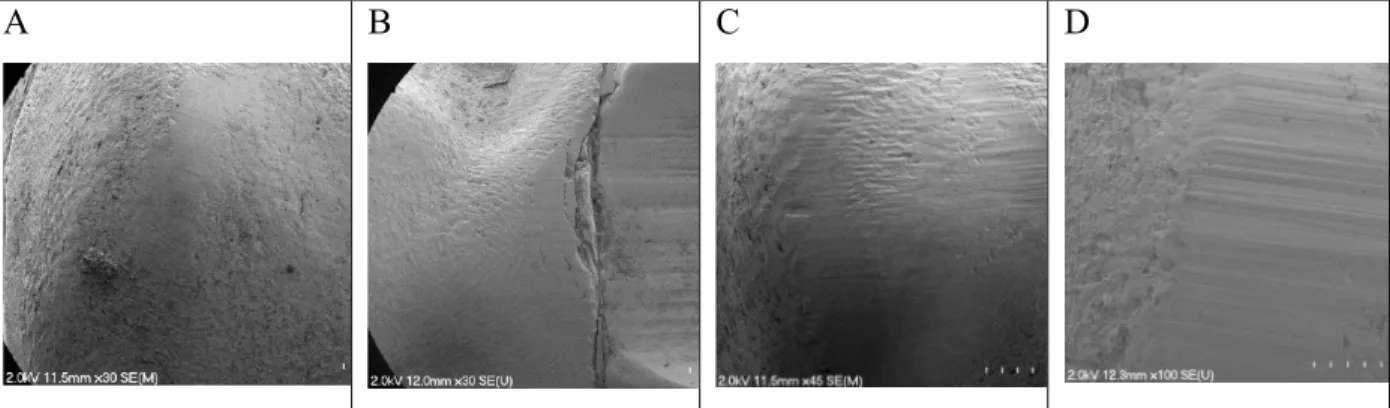 Figure 2.4. SEM images. A: Group 1. B: Group 2. C: Group 3. D: Group 4 